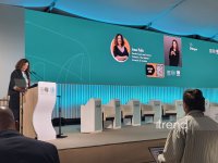 WUF13 çərçivəsində "Mənzilin sosial və iqtisadi gücü" mövzusunda panel müzakirəsi keçirilib (FOTO)