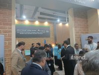WUF13 çərçivəsində Pəncab əyalətinin pavilyonunun açılışı keçirilib (FOTO)