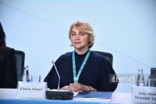 WUF13 çərçivəsində "Əlilliyi olan şəxslər üçün müstəqil həyat və inklüziv şəhərlər” mövzusunda tədbir keçirilib (FOTO) (YENİLƏNİB)