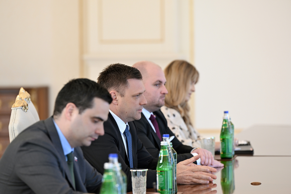 Prezident İlham Əliyev Slovakiya Baş nazirinin müavinini qəbul edib (FOTO)