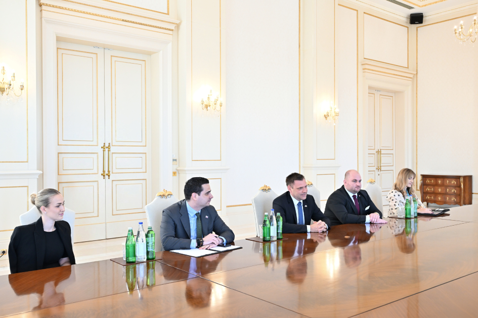 Prezident İlham Əliyev Slovakiya Baş nazirinin müavinini qəbul edib (FOTO)