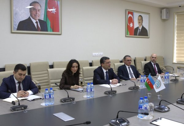 Medianın İnkişafı Agentliyində D-8 İqtisadi Əməkdaşlıq Təşkilatının Baş katibi ilə ikitərəfli görüş keçirilib (FOTO)