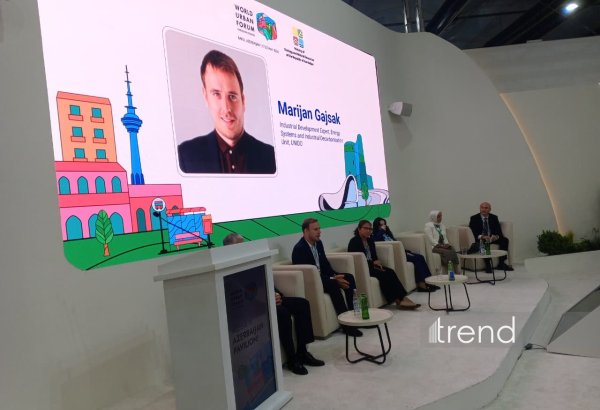 Plastik çirklənmə ilə mübarizə ümumi şəhər strategiyasının bir hissəsi olmalıdır - UNIDO