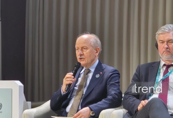 Türkiyə tullantıların emalı səviyyəsini 2053-cü ilədək 70 faizə çatdırmağı planlaşdırır - nazir müavini