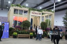 Bakıda WUF13-ün ən kreativ pavilyonları: Qübbələr və ekranlar altında gələcəyin şəhəri (FOTO)