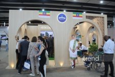 Bakıda WUF13-ün ən kreativ pavilyonları: Qübbələr və ekranlar altında gələcəyin şəhəri (FOTO)