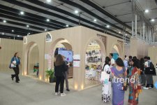 Bakıda WUF13-ün ən kreativ pavilyonları: Qübbələr və ekranlar altında gələcəyin şəhəri (FOTO)