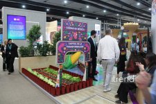 Bakıda WUF13-ün ən kreativ pavilyonları: Qübbələr və ekranlar altında gələcəyin şəhəri (FOTO)
