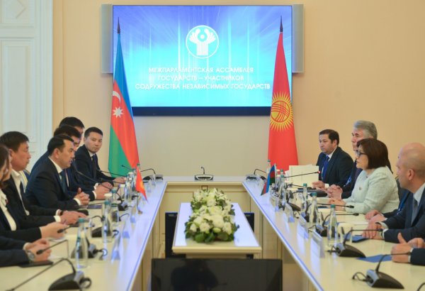 Sahibə Qafarova Qırğız Respublikası Joqorku Keneşinin sədri ilə görüşüb (FOTO)