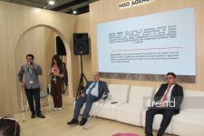 WUF13: İnklüziv şəhər pandus və liftlərdən başlamır - Aydın Xəlilov (FOTO)