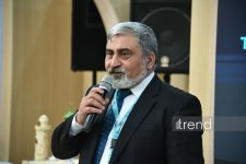 Baku Network WUF13-də: ekspertlər hibrid təhdidlər şəraitində şəhərlərin gələcəyindən danışıblar (FOTO)