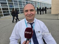 WUF13-də Bakıda hətta bələdçi itlər üçün xüsusi sanitar zonalar yaradılıb - Kamal Məmmədov