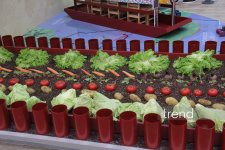 WUF13 - Gələcəyin şəhərlərinin forumu incəsənət və mədəniyyət ocağına çevrilib (FOTO)