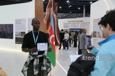 WUF13 - Gələcəyin şəhərlərinin forumu incəsənət və mədəniyyət ocağına çevrilib (FOTO)