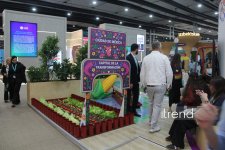 WUF13 - Gələcəyin şəhərlərinin forumu incəsənət və mədəniyyət ocağına çevrilib (FOTO)