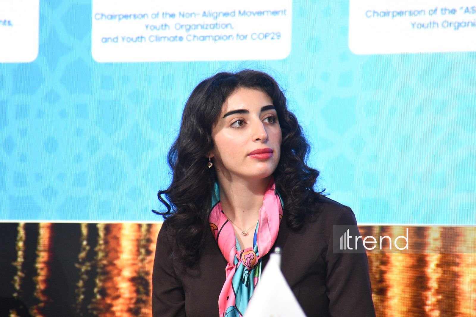 WUF13 çərçivəsində şəhərlərin inkişafında gənclərin və vətəndaş cəmiyyətlərinin liderliyi müzakirə olunub (FOTO)