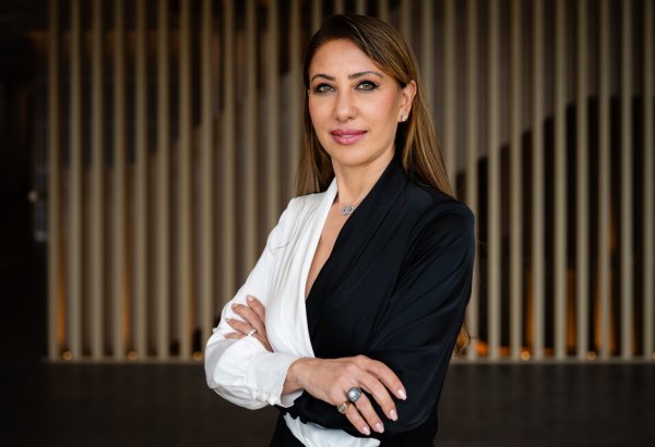 Gəncə "Yaşıl şəhər" Fəaliyyət Planını uğurla hazırlayıb, digər şəhərlər də bu nümunədən yararlana bilər – AYİB direktoru (Eksklüziv müsahibə)