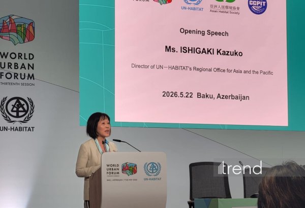 Mənzil siyasəti şəhər planlaşdırılmasının bir hissəsi olmalıdır - UN-Habitat