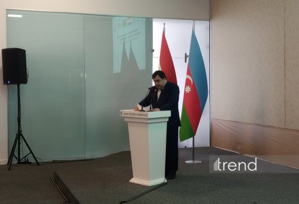 Tacikistan və Azərbaycan iqtisadi əməkdaşlığı möhkəmləndirir - Nazir müavini