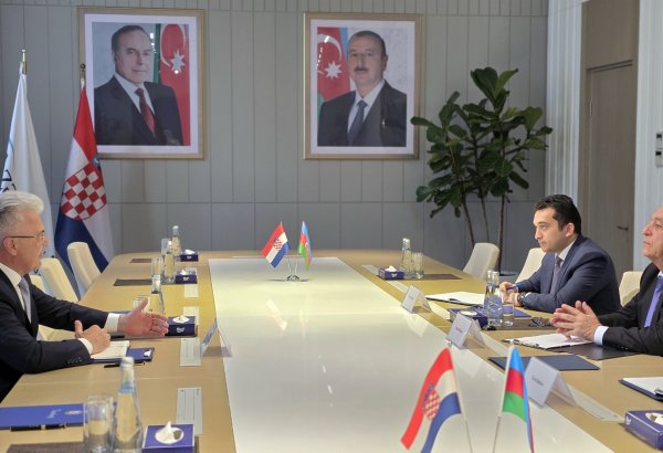 "AzərEnerji” sədri ilə Xorvatiya səfirinin görüşü olub (FOTO)
