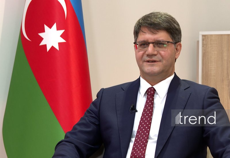 Cəbrayıl rayonunda illik 2 milyon ağac tingi yetişdiriləcək - Nazir
