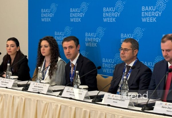 Bakı Enerji Həftəsi çərçivəsində ilk dəfə D-8 ölkələrinin nazirlərinin görüşü keçiriləcək