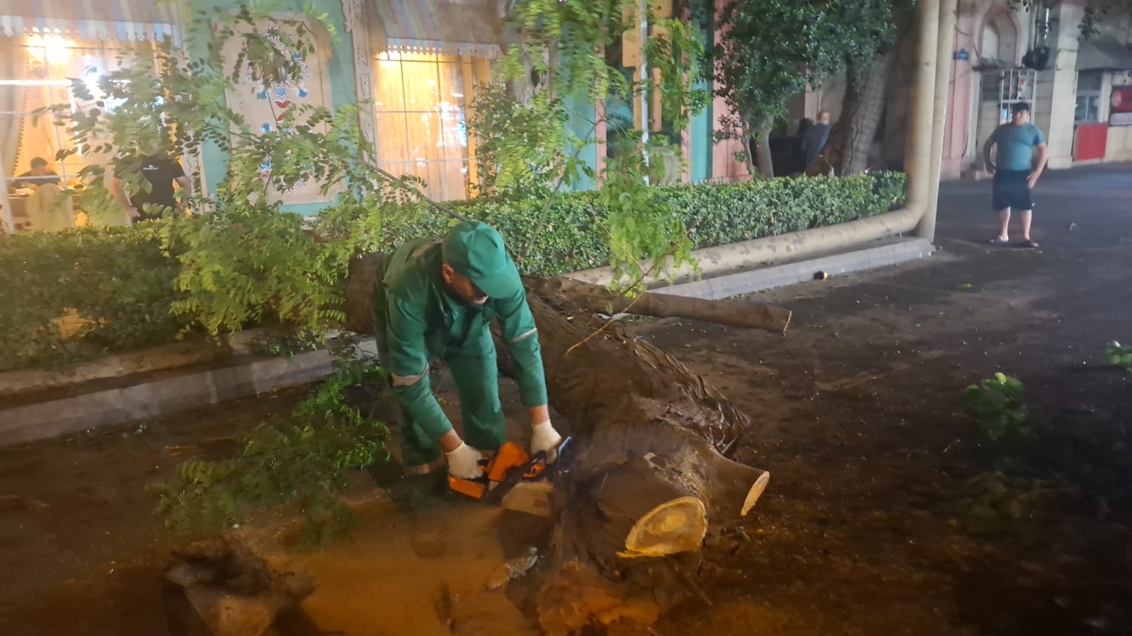 Güclü külək Bakıda 41 ağacı sındırıb (FOTO)