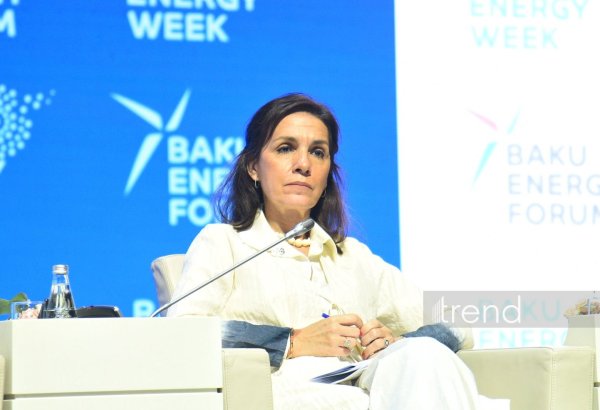 Enerji təhlükəsizliyi beynəlxalq gündəliyin əsas prioritetlərindən birinə çevrilib - Kristina Lobilyo Borrero