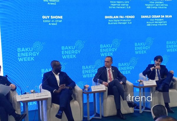 Bazar iştirakçıları gəlirliliyi artırmaq üçün təzyiq altındadırlar - Danilo Sezar da Silva