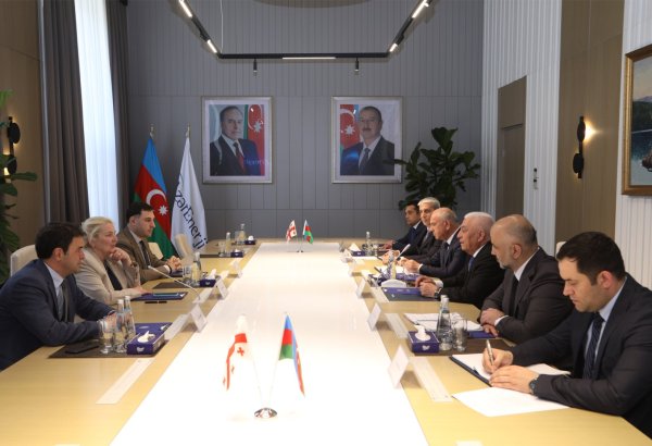 Azərbaycan və Gürcüstan enerji əməkdaşlığı müzakirə olunub