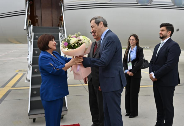 Sahibə Qafarova Serbiyaya işgüzar səfərə gedib