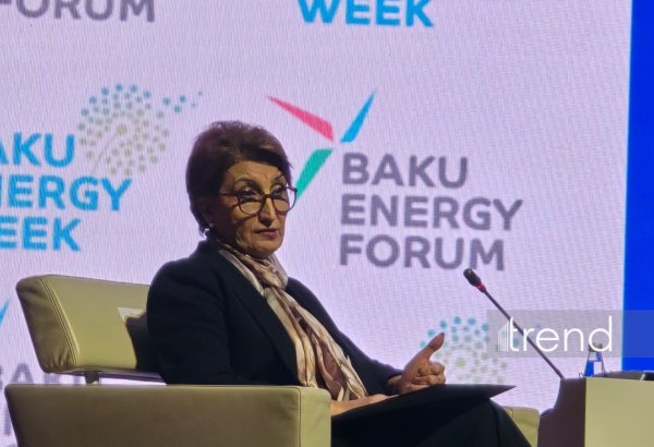 SOCAR Azərbaycanda geoloji kəşfiyyatın sürətləndirilməsi imkanlarını nəzərdən keçirir