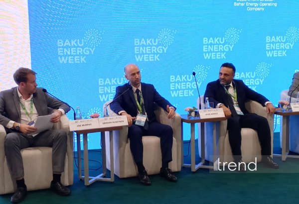 Uğurlu rəqəmsal transformasiya üçün 2 əsas şərt açıqlandı