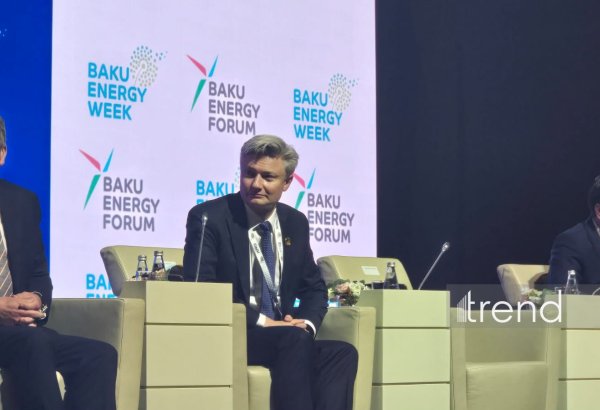 Xəzər regionunda həyata keçirilən layihələr texnoloji baza formalaşdırır - Den Sparks