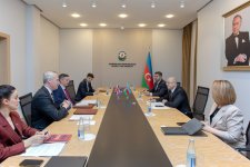 Azərbaycan-Böyük Britaniya enerji tərəfdaşlığı müzakirə edilib (FOTO)