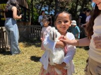 Bakı Zooloji Parkında Uşaqların Beynəlxalq Müdafiəsi Günü münasibətilə bayram tədbiri keçirilib (FOTO)