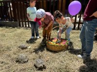 Bakı Zooloji Parkında Uşaqların Beynəlxalq Müdafiəsi Günü münasibətilə bayram tədbiri keçirilib (FOTO)