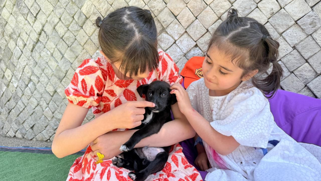 Bakı Zooloji Parkında Uşaqların Beynəlxalq Müdafiəsi Günü münasibətilə bayram tədbiri keçirilib (FOTO)