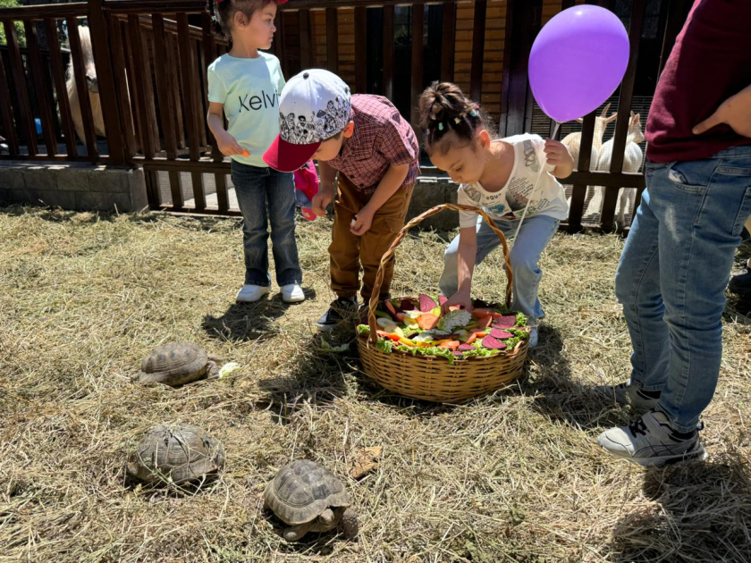 Bakı Zooloji Parkında Uşaqların Beynəlxalq Müdafiəsi Günü münasibətilə bayram tədbiri keçirilib (FOTO)
