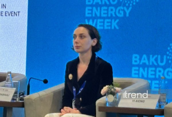 Enerji sistemlərinin arxitekturası dəyişir - Teona Elizaraşvili