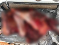 Satılmaq üçün daşınan 120 kq yararsız ət aşkarlanıb (FOTO)