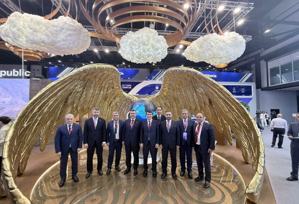 Sankt-Peterburq Forumunda Azərbaycanın iqtisadi əməkdaşlıq gündəliyi müzakirə olunub (FOTO)
