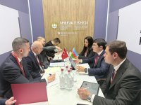 Sankt-Peterburq Forumunda Azərbaycanın iqtisadi əməkdaşlıq gündəliyi müzakirə olunub (FOTO)