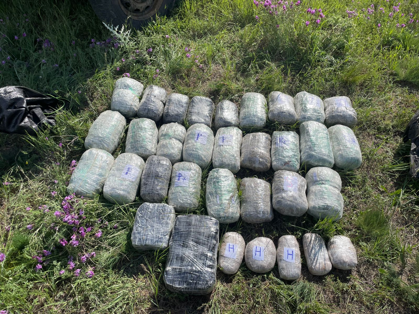 İrandan Azərbaycana külli miqdarda narkotikin gətirilməsinin