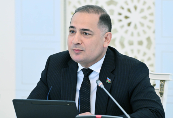 İdentifikasiya başa çatmadan nəticə əldə edilməsi çətin olacaq – Komitə sədri
