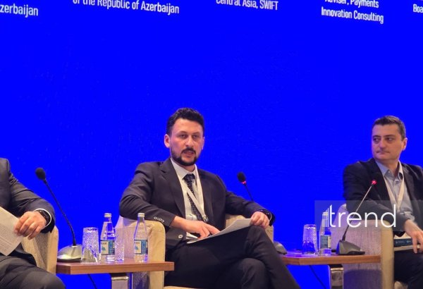 Ödəniş əməliyyatlarında yeni rekordlar qeydə alınıb - AMB rəsmisi