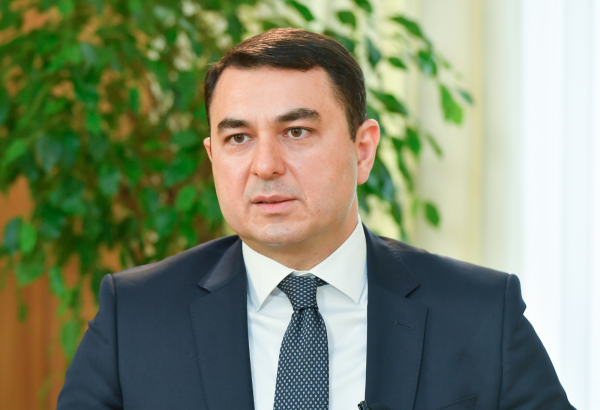 Dövlət hər il nəşrlərin satın alınmasına 600 min manatadək vəsait ayırır - Nazir