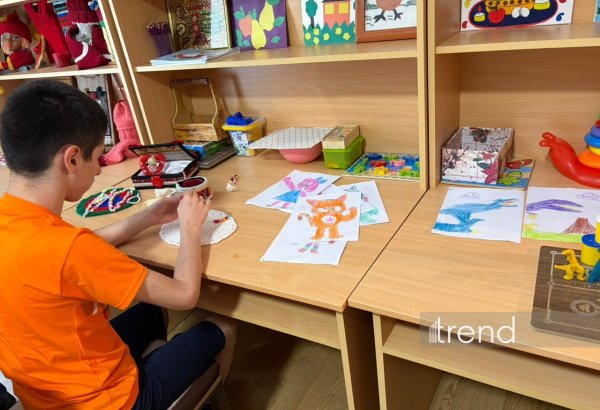 Əlilliyi olan uşaqlar üçün sosial xidmət müəssisəsinə mediatur təşkil olunub (FOTO)