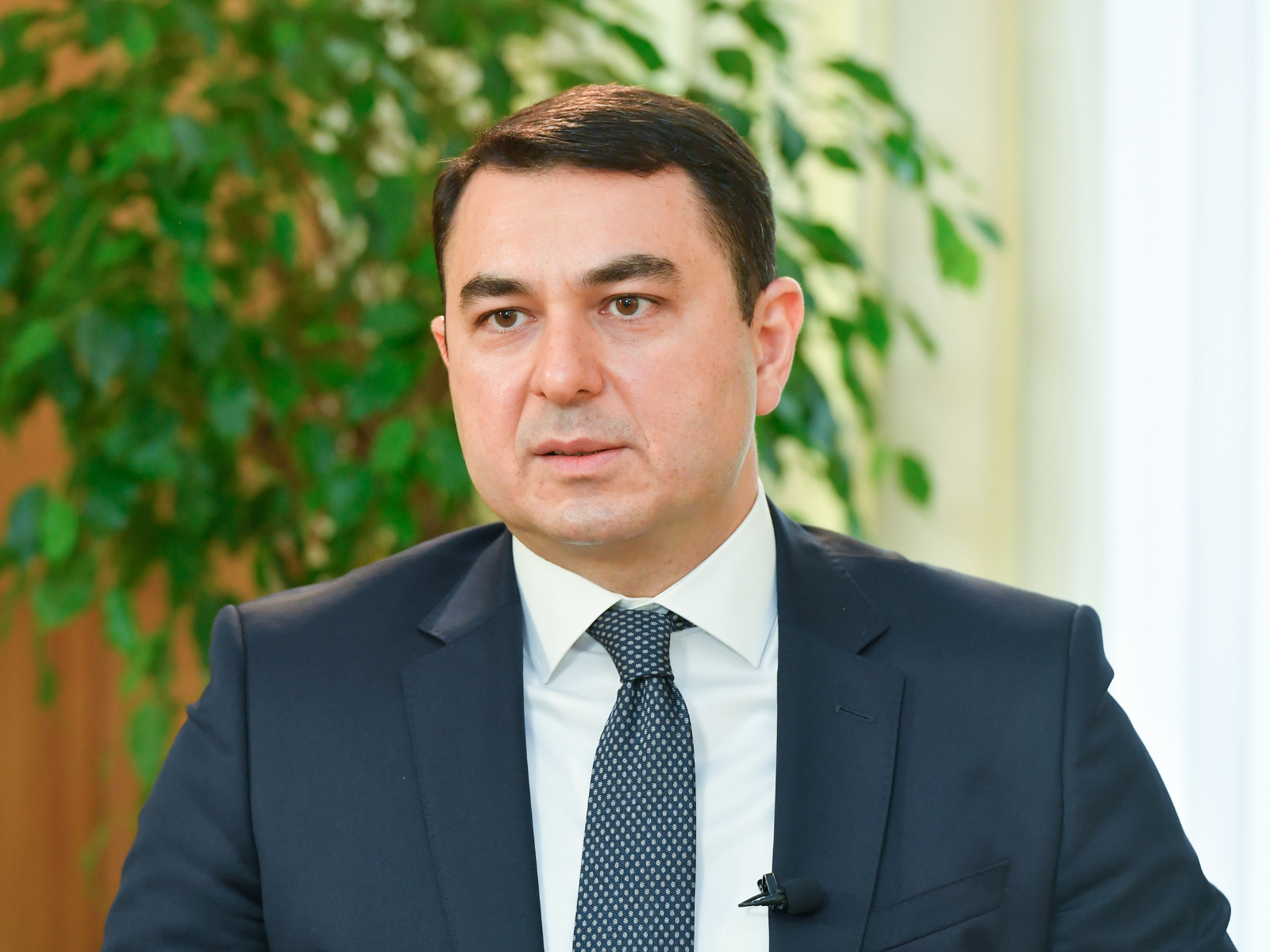 Dövlət hər il nəşrlərin satın alınmasına 600 min manatadək v