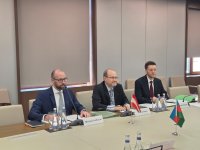 Azərbaycanla Avstriya arasında ilk konsulluq məsləhətləşmələri keçirilib (FOTO)